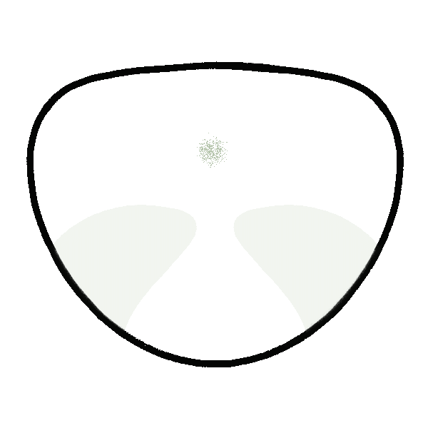 Multifocal