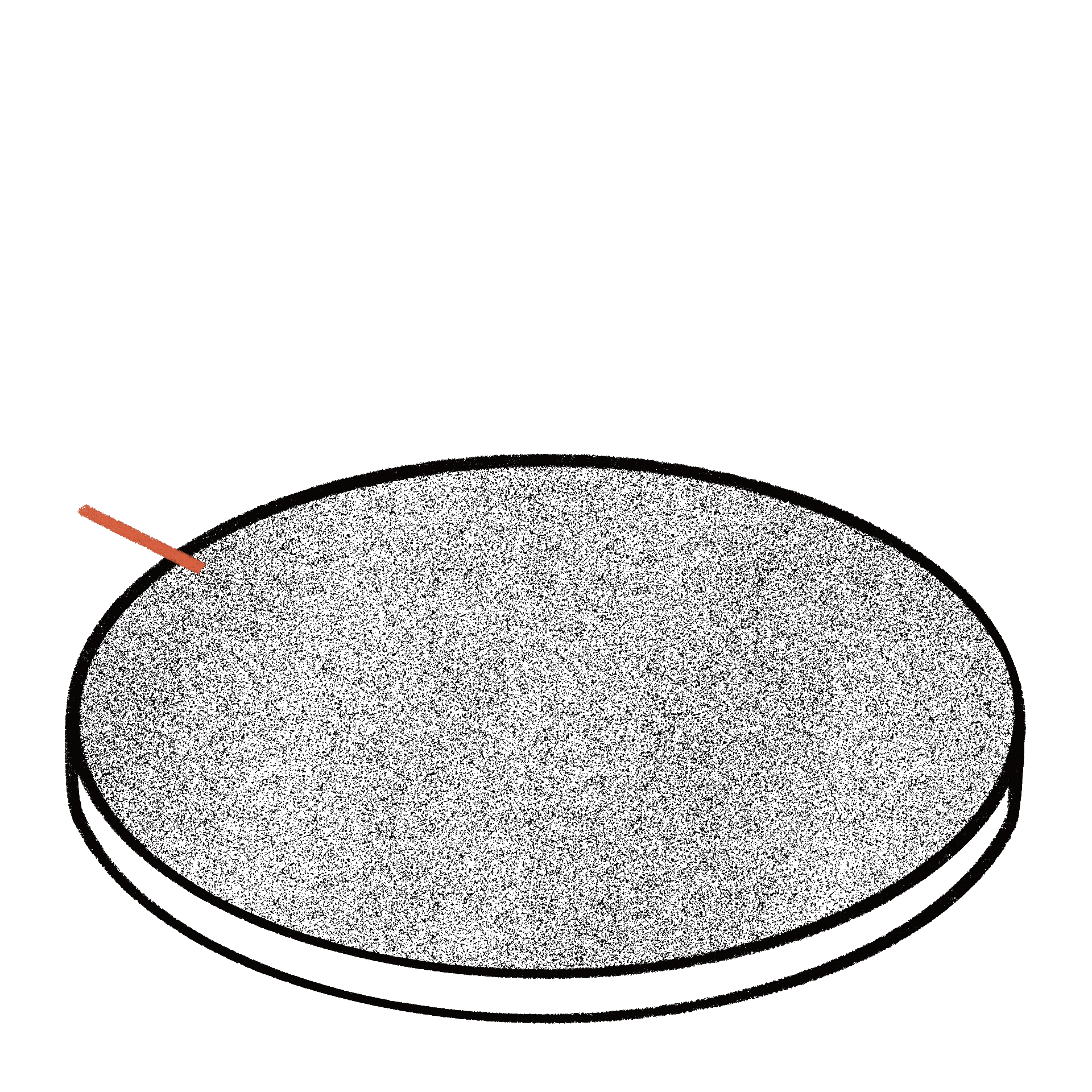 Solar Polarizado