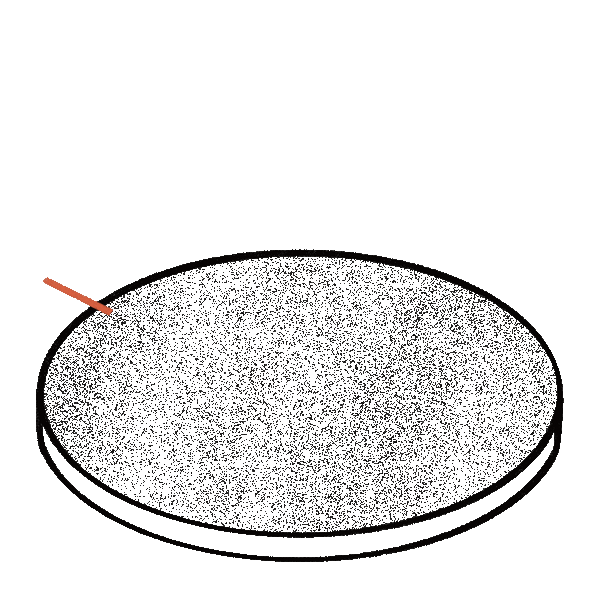 Solar Polarizado